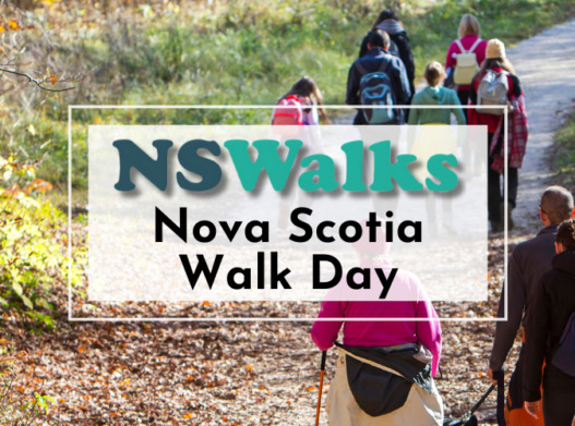 NS Walk Day